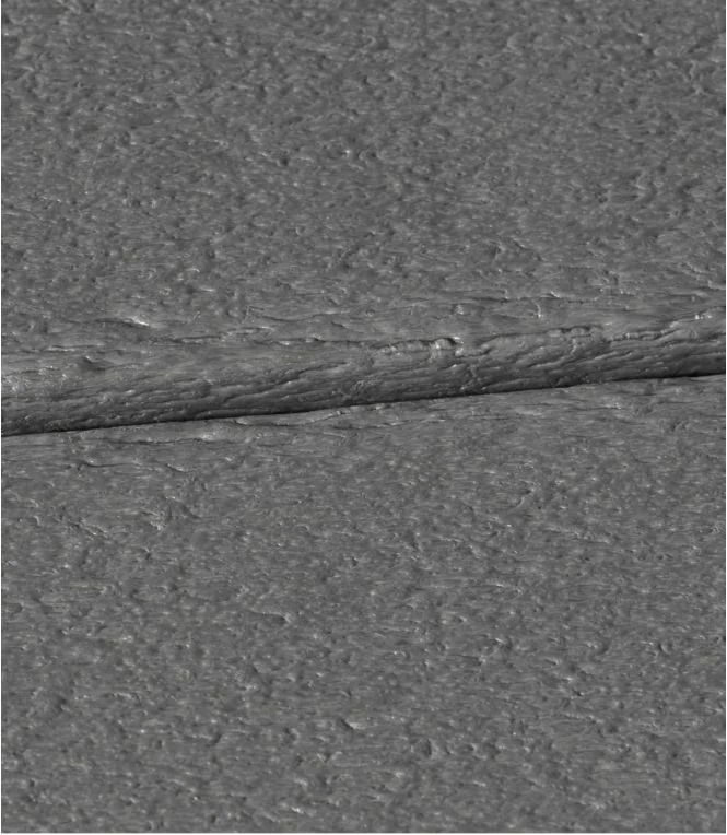 All-Weather Armless Chair, Set of Two - Image 3