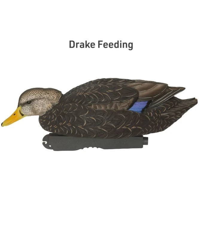 Avery Pro-Grade Decoys, Black Duck 6-Pack - Image 4