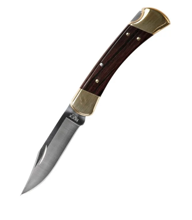 Buck 110 Folding Hunter''s Knife