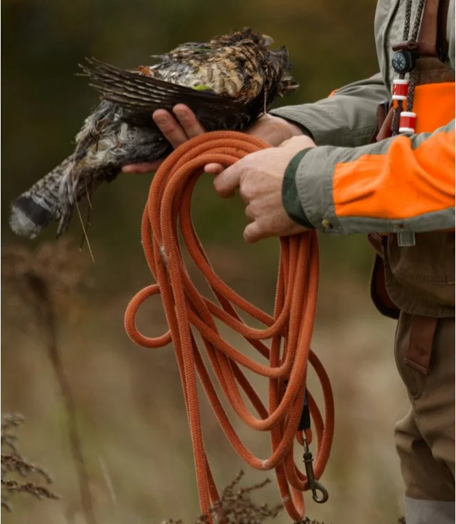 Alternative view of Check Dog Cord