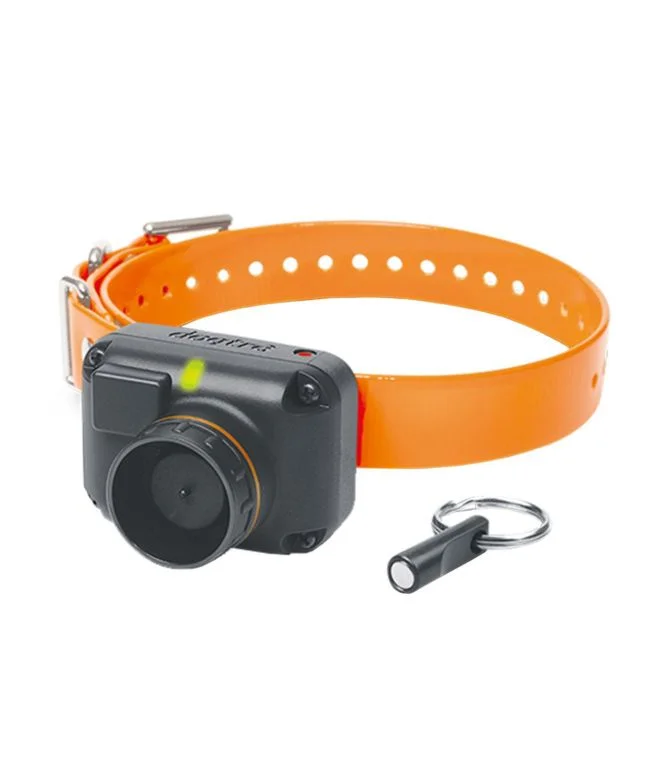 Alternative view of Dogtra STB Beeper Collar