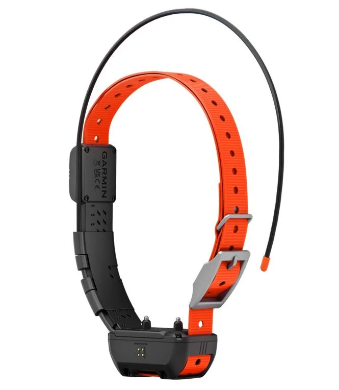 Alternative view of Garmin Alpha TT25 Dog Collar