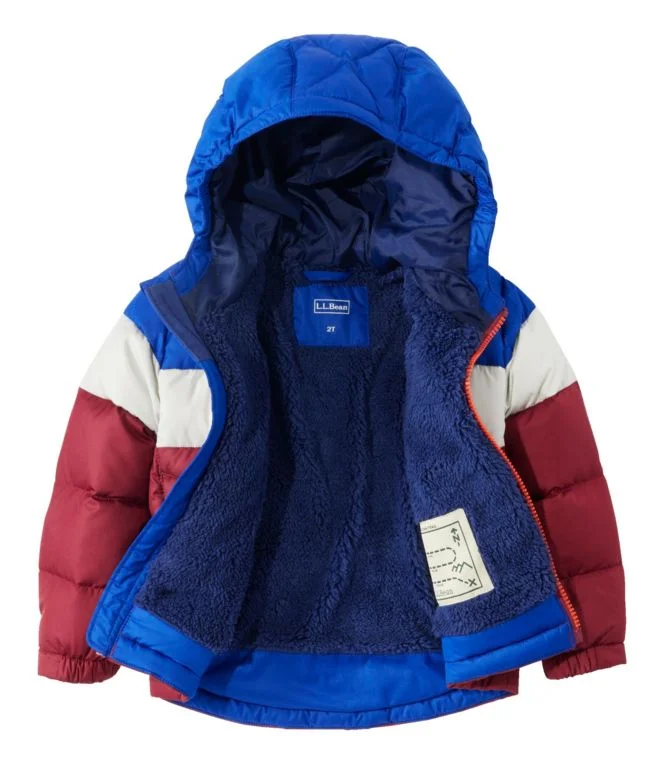 Infants'' and Toddlers'' Bean''s Down Jacket, Colorblock - Image 6