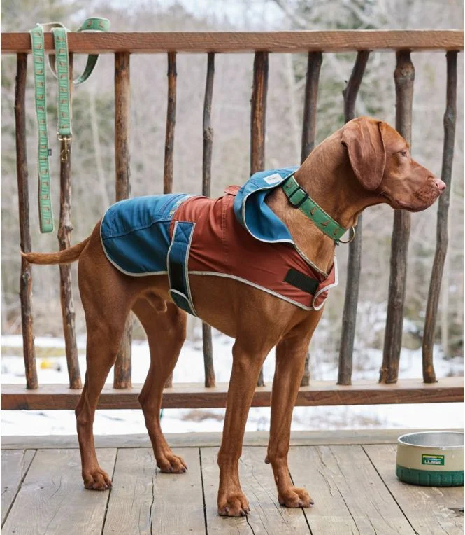 Mountain Classic Dog Anorak, Colorblock - Image 3