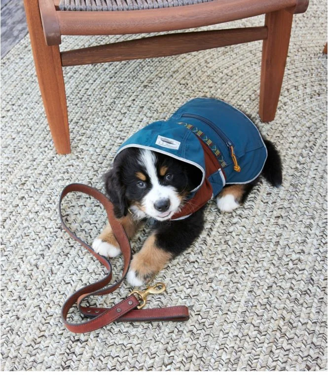 Mountain Classic Dog Anorak, Colorblock - Image 4