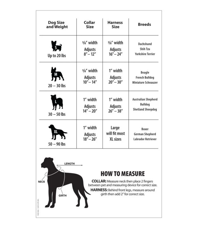 Personalized Pet Collar, Reflective - Image 3