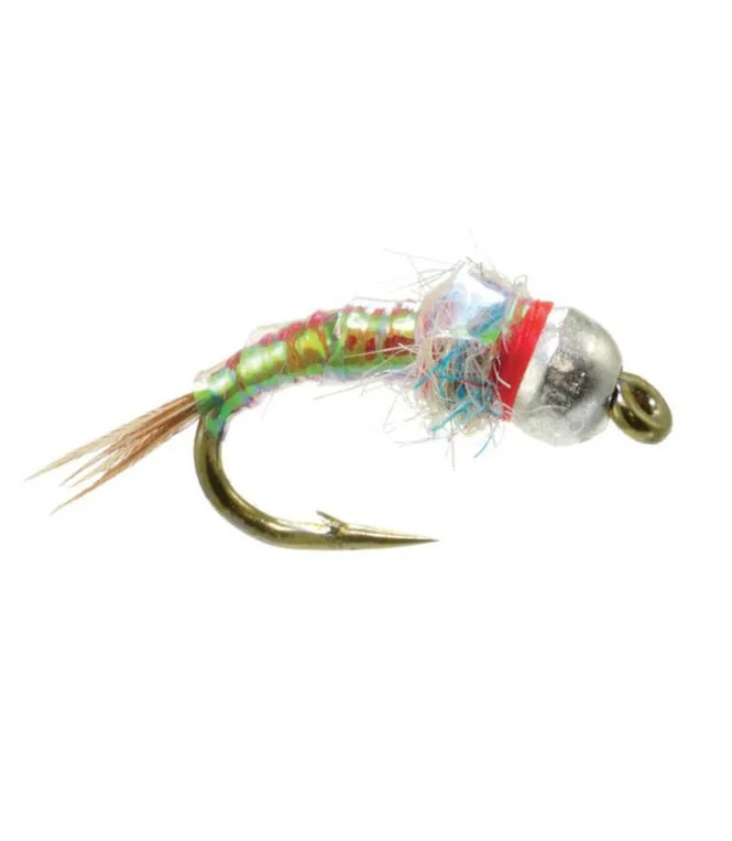 Rainbow Warrior Egan''s Tungsten 2 Pack