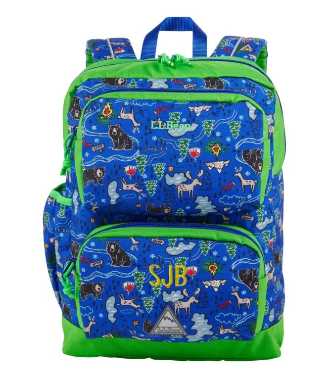 Trailfinder Backpack, 23L, Print - Image 7