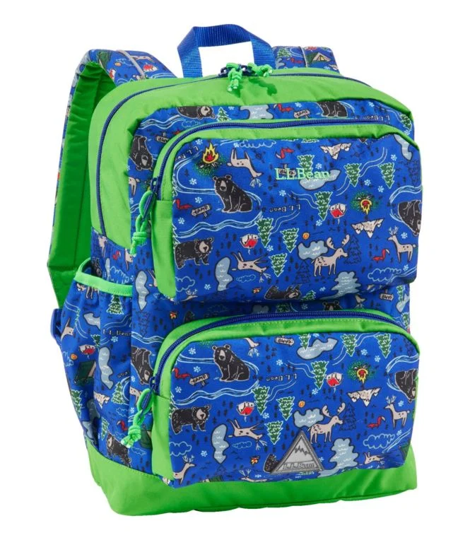 Trailfinder Backpack, 23L, Print - Image 10